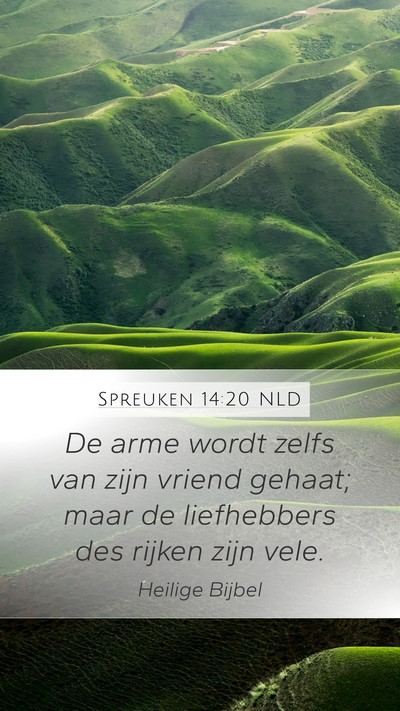 Spreuken 14:20 NLD Bible Verse Image