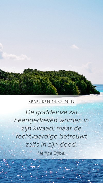 Spreuken 14:32 NLD Bible Verse Image