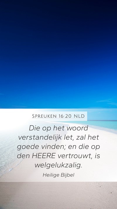 Spreuken 16:20 NLD Bible Verse Image