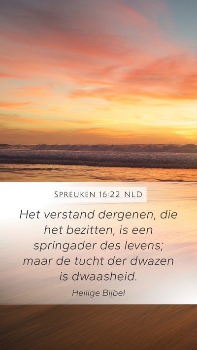Spreuken 16:22 NLD Bible Verse Image