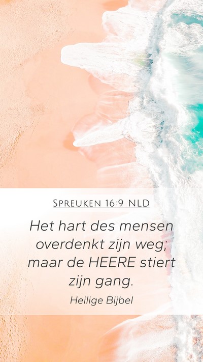 Spreuken 16:9 NLD Bible Verse Image