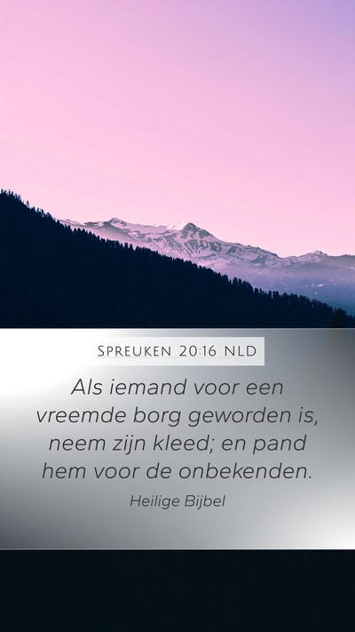 Spreuken 20:16 NLD Bible Verse Image