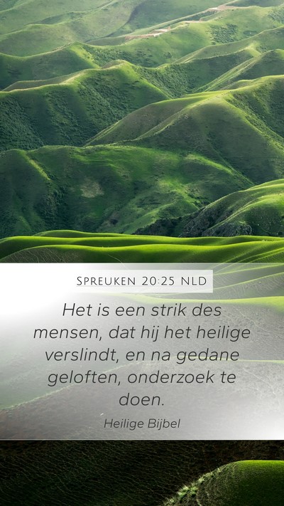 Spreuken 20:25 NLD Bible Verse Image