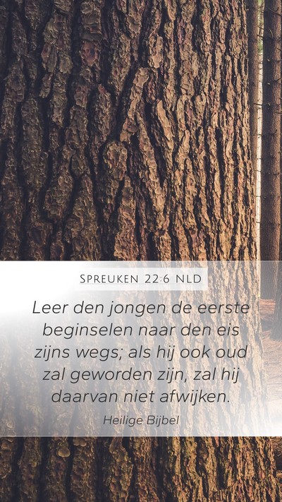 Spreuken 22:6 NLD Bible Verse Image