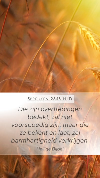 Spreuken 28:13 NLD Mobile Phone Wallpaper - Die zijn overtredingen bedekt, zal niet - Mobile Bible Verse Wallpaper