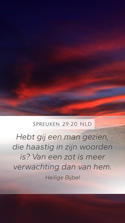 Spreuken 29:20 NLD Bible Verse Image