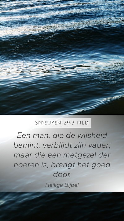 Spreuken 29:3 NLD Bible Verse Image