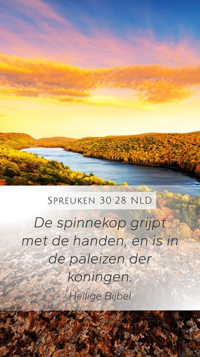 Spreuken 30:28 NLD Mobile Phone Wallpaper - De spinnekop grijpt met de handen, en is in de - Mobile Bible Verse Wallpaper