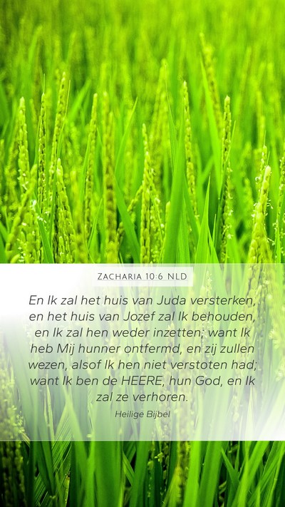 Zacharia 10:6 NLD Bible Verse Image