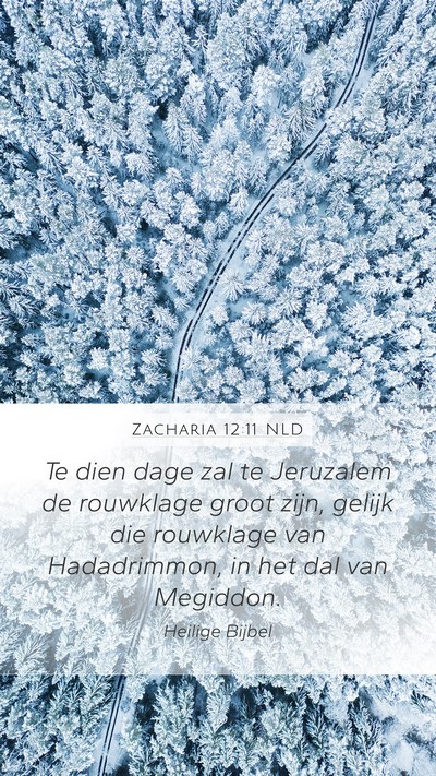 Zacharia 12:11 NLD Bible Verse Image