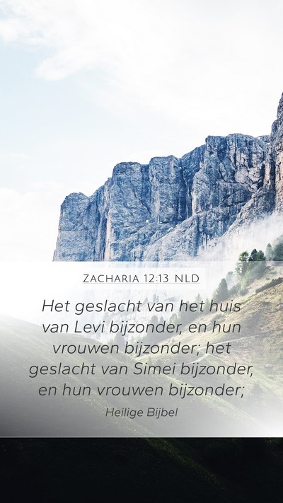 Zacharia 12:13 NLD Bible Verse Image