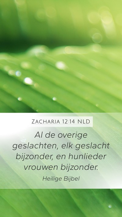 Zacharia 12:14 NLD Mobile Phone Wallpaper - Al de overige geslachten, elk geslacht bijzonder, - Mobile Bible Verse Wallpaper