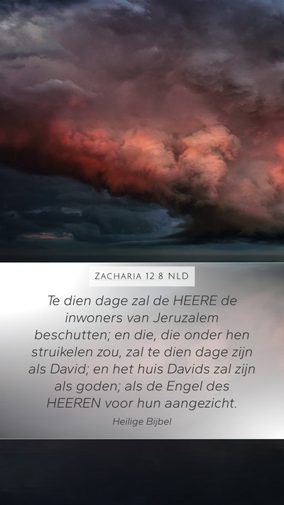 Zacharia 12:8 NLD Bible Verse Image
