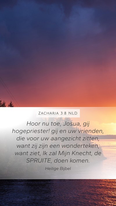 Zacharia 3:8 NLD Bible Verse Image