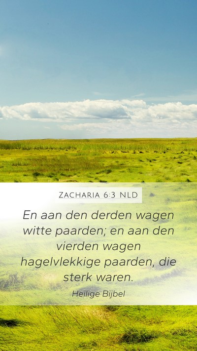 Zacharia 6:3 NLD Bible Verse Image