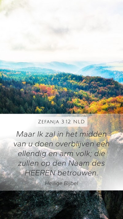 Zefanja 3:12 NLD Bible Verse Image